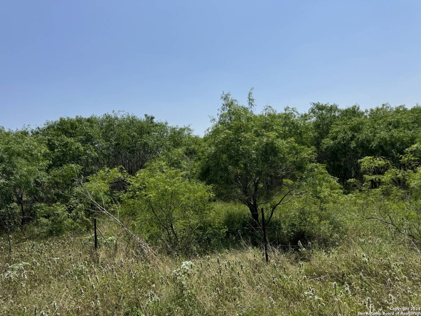 135 Steele Branch Lane, Stockdale, TX 78160