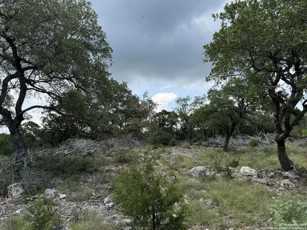 Pipe Creek, TX 78063,2838 Mountain Creek Rd