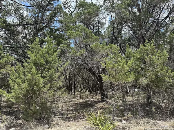 Bandera, TX 78003,LOT 35 NORTHEAST DR