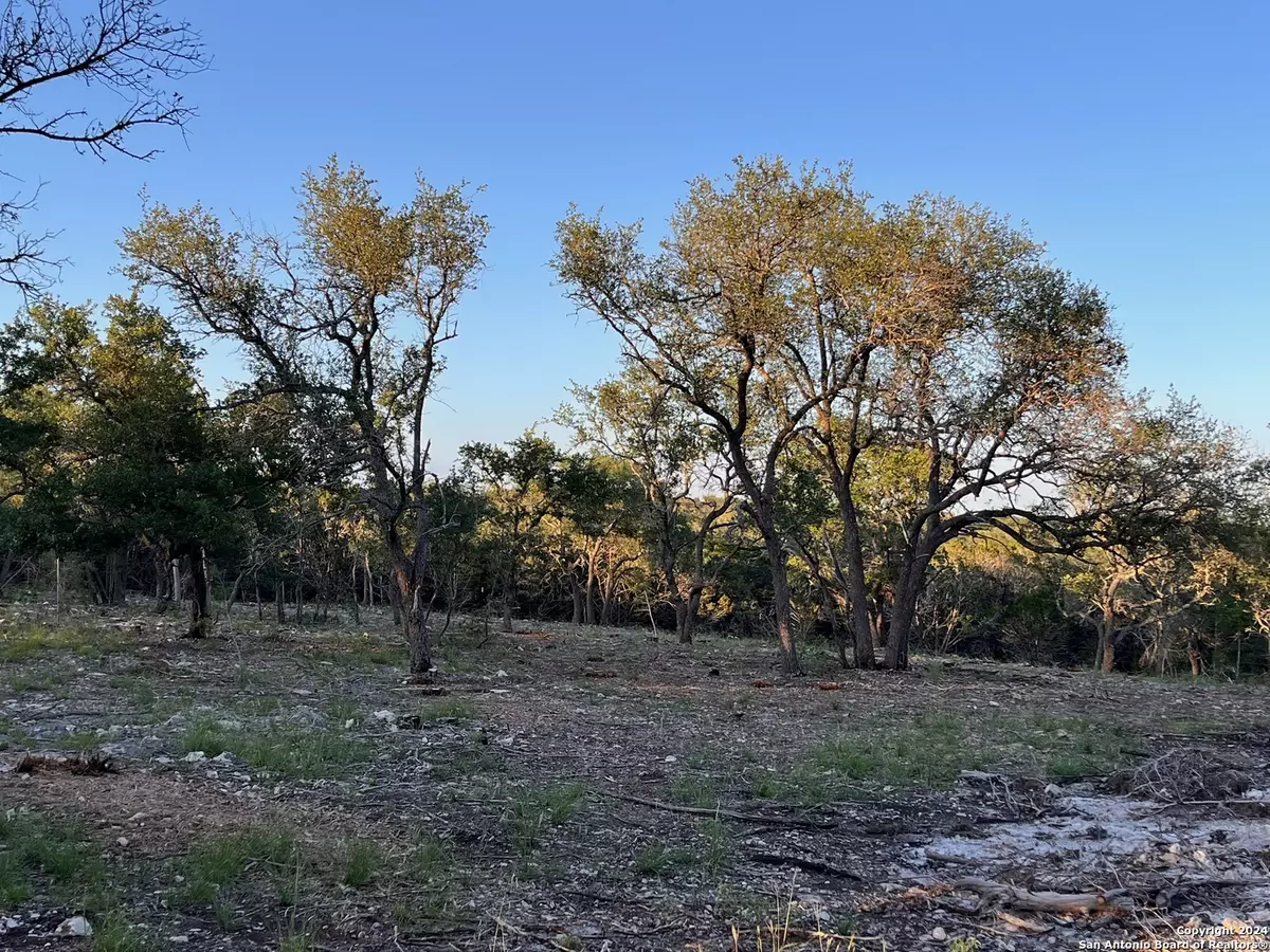 Camp Wood, TX 78833,0000 RANCH ROAD 337