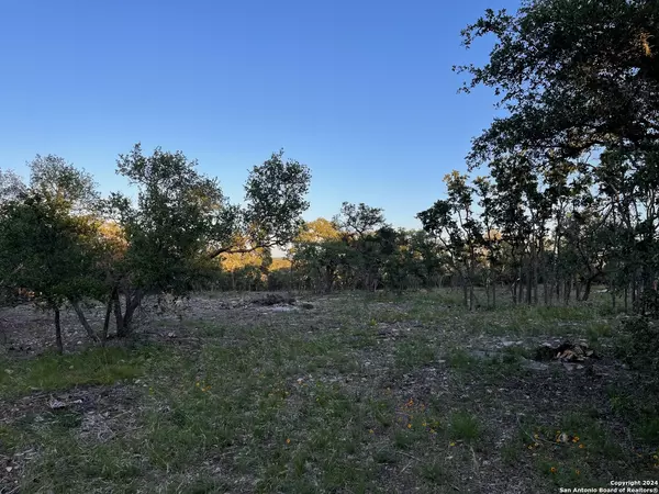 Camp Wood, TX 78833,0000 RANCH ROAD 337