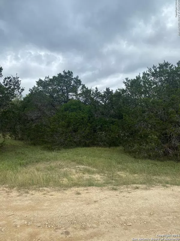 Spring Branch, TX 78070,1096 deer valley