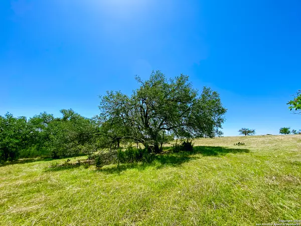 Kerrville, TX 78028,LOT 124 Loma Vista Ranch