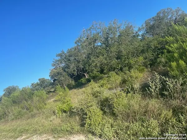 San Antonio, TX 78253,13 Private Road 3702