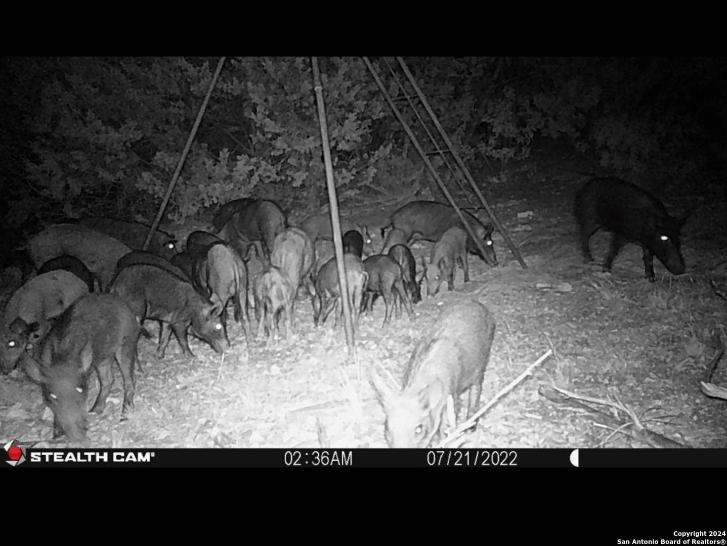 Rocksprings, TX 78880,1023 SD 63010