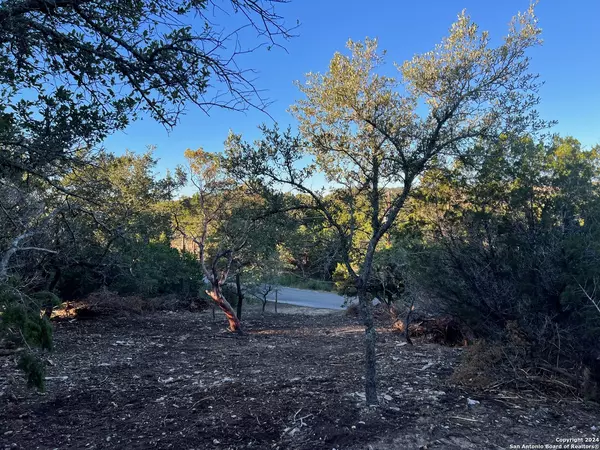 Canyon Lake, TX 78133,340 LEDGEVIEW DR