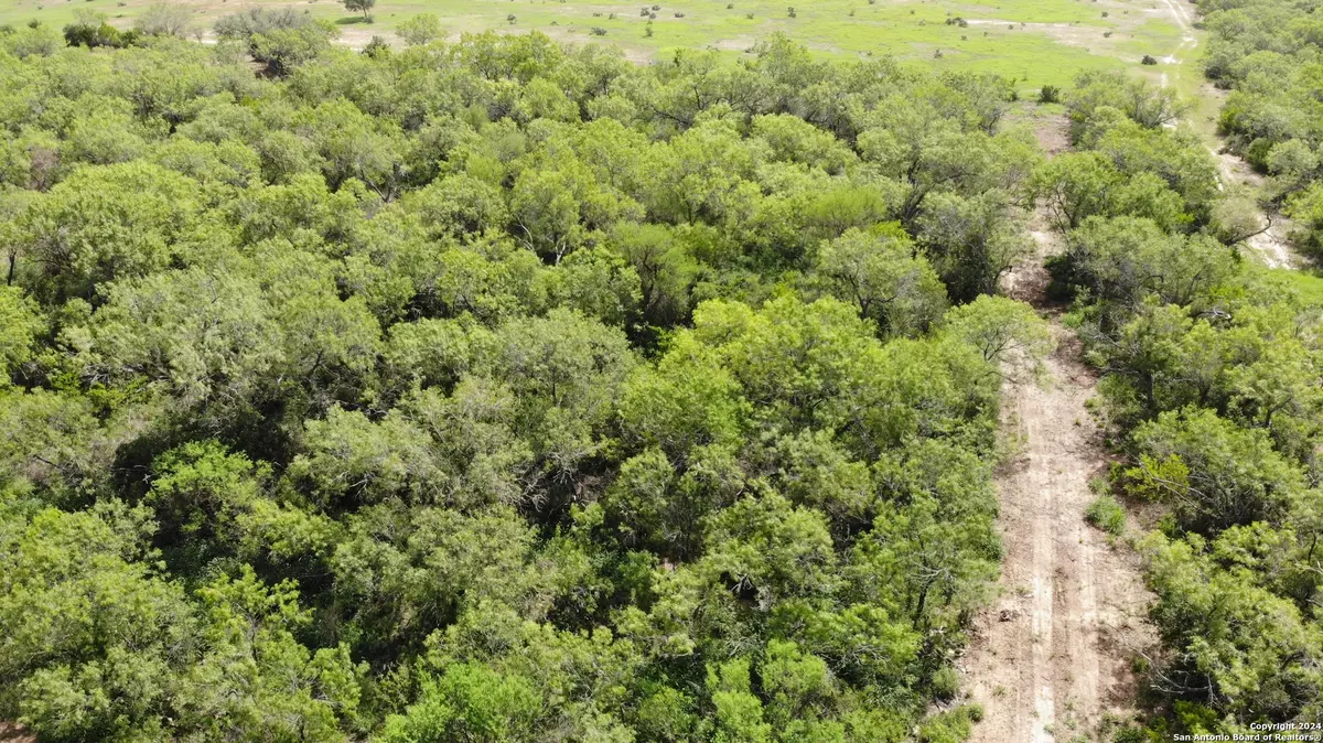 Christine, TX 78064,00 10th Street