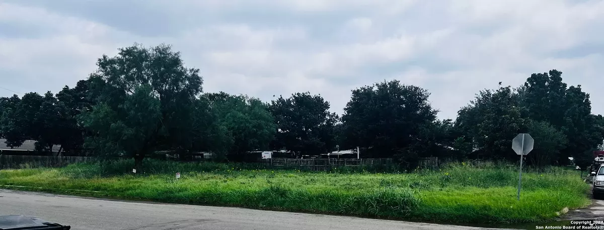 Pearsall, TX 78061,TBD Walnut