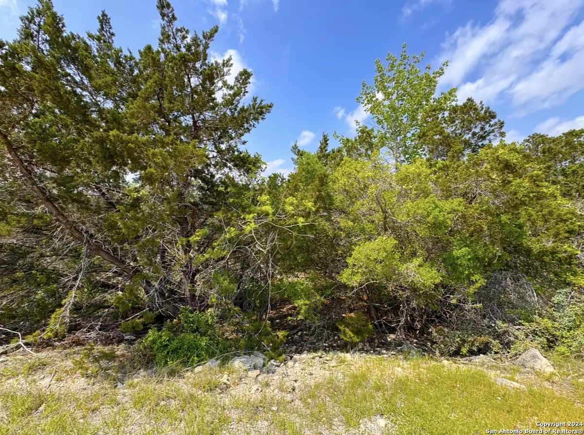 Canyon Lake, TX 78133,985 OBLATE DR