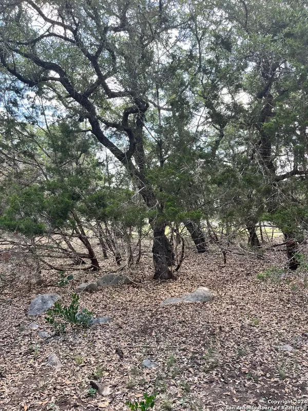 Spring Branch, TX 78070,1656 Cypress Pass Road