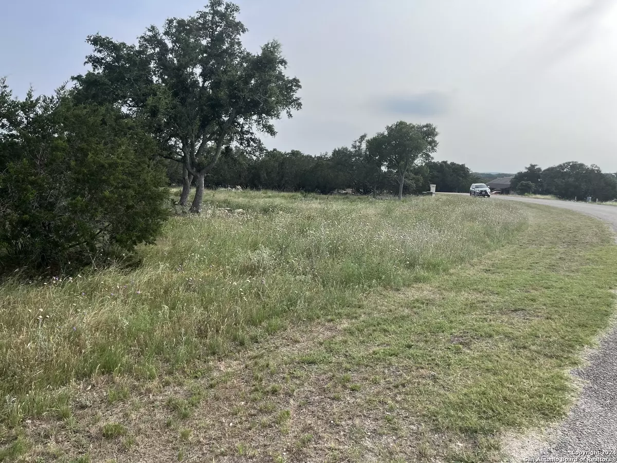 Spring Branch, TX 78070,133 Macaw Lane