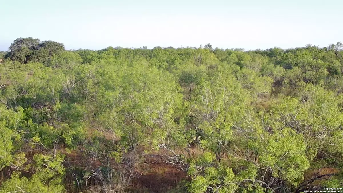 Jourdanton, TX 78026,5 Old Pearsall Rd