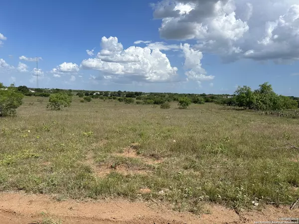 Floresville, TX 78114,0 Cr 329 Lot 1