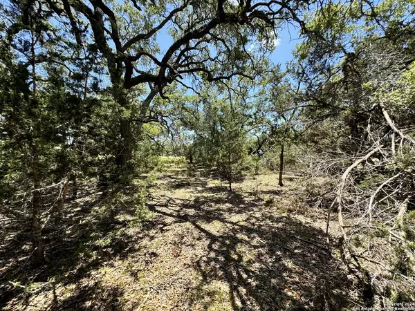 Bulverde, TX 78163,854 maximino ridge