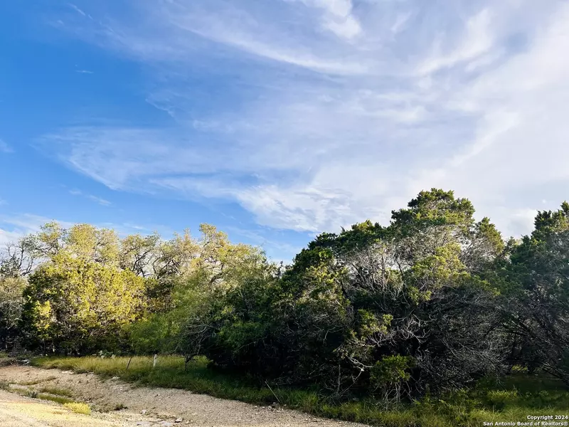 296 RESTLESS WIND, Spring Branch, TX 78070