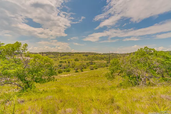 56 Twisted Oak Drive, Blanco, TX 78606