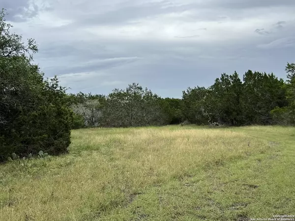 Fredericksburg, TX 78624,1984 North Grape Creek Rd