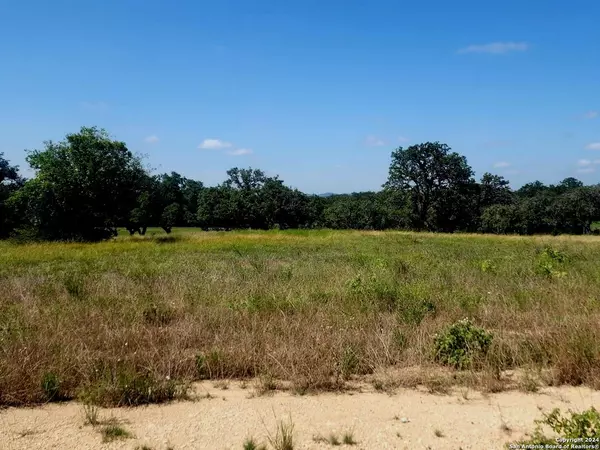 Bulverde, TX 78163-2596,773 ANNABELLE AVE