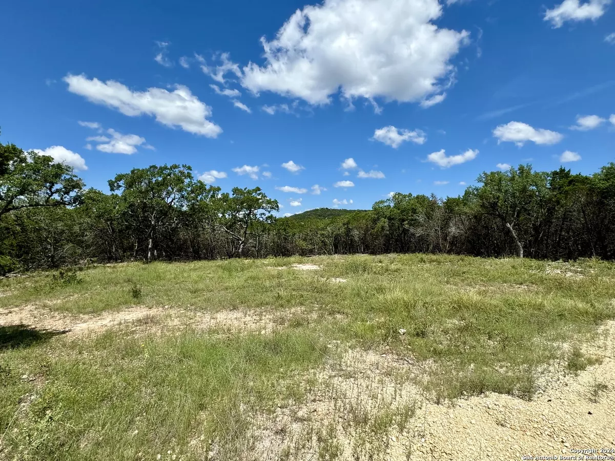 Mico, TX 78056,LOT 264 PR 1709