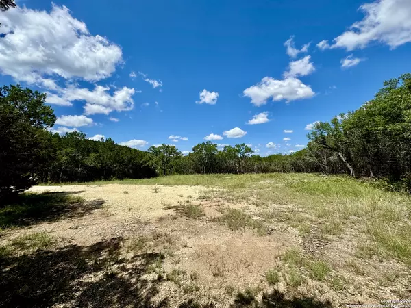 Mico, TX 78056,LOT 264 PR 1709