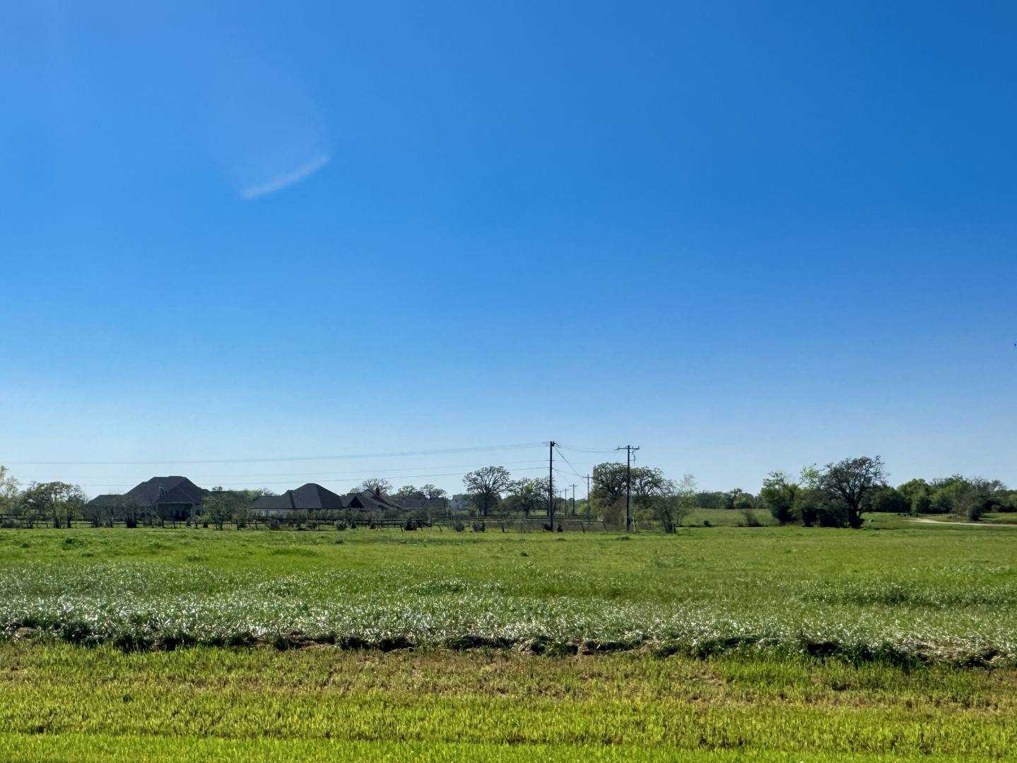 10069 Panther Creek Drive, Iola, TX 77861