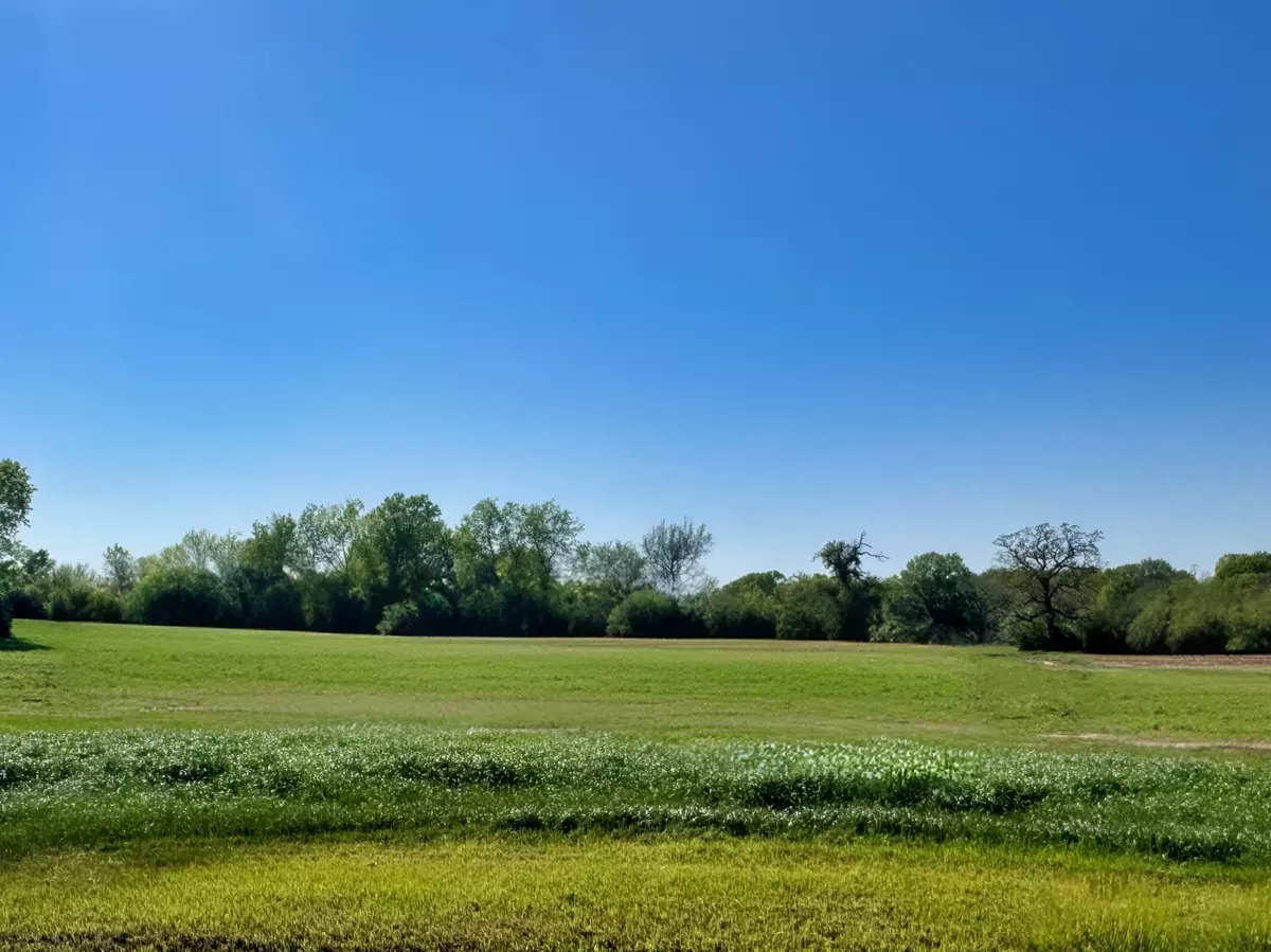 Iola, TX 77861,LOT 38 Panther Ridge Drive