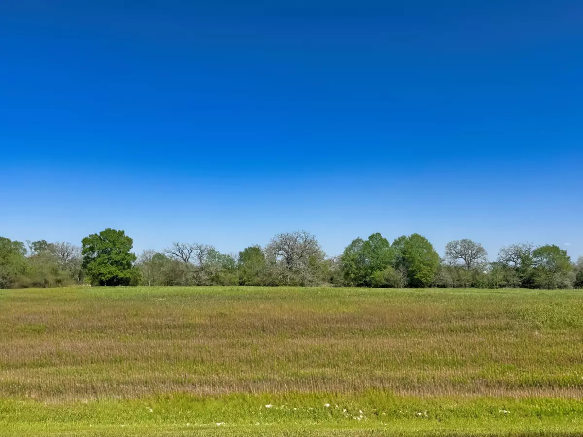 Iola, TX 77861,10196 Panther Creek Drive