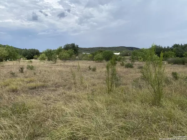 Concan, TX 78838,000 Mountain Valley Dr.