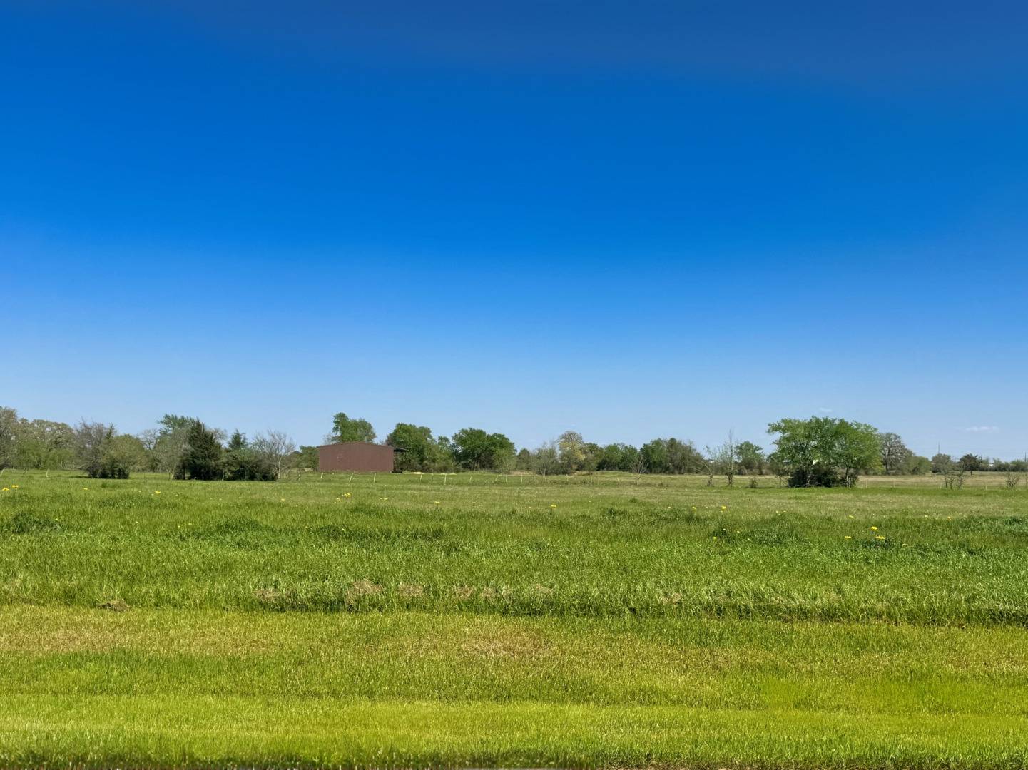 10016 Panther Creek Drive, Iola, TX 77861