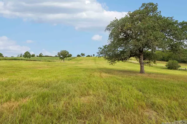 264 Red Rock Ranch Rd, Red Rock, TX 78662