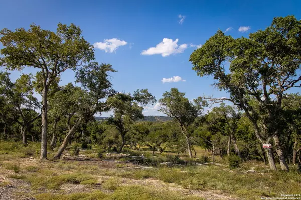 Canyon Lake, TX 78133,1918 Paradise Parkway