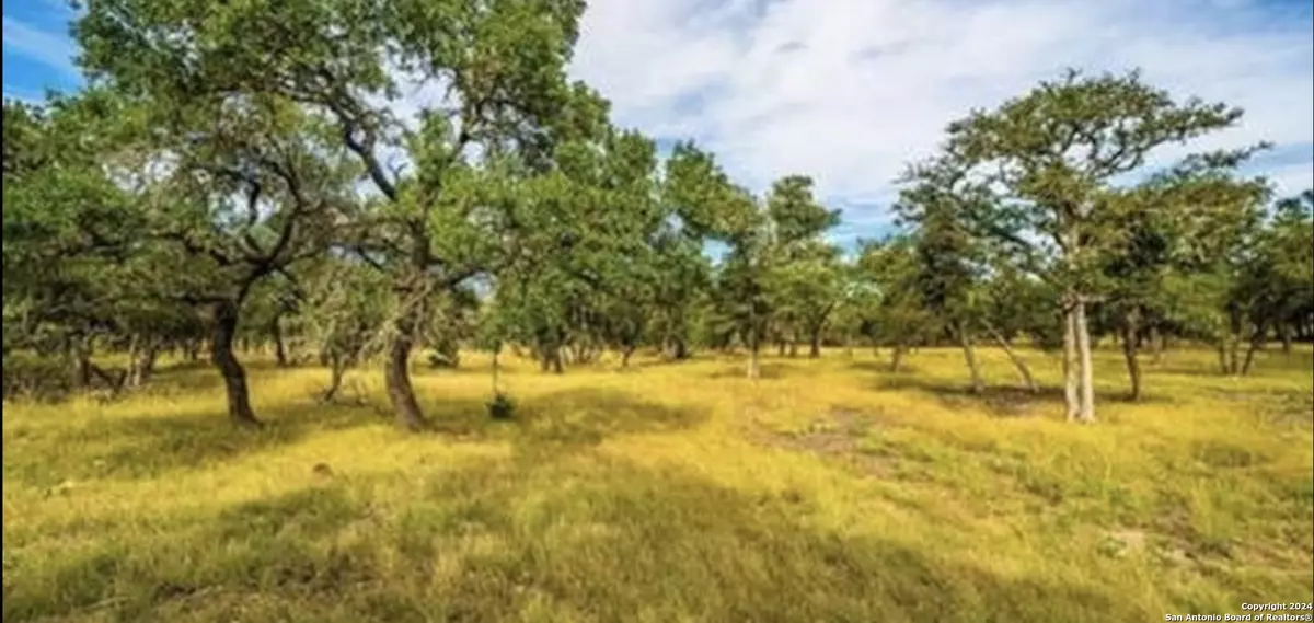 Harper, TX 78631,LOT 3 scott branch