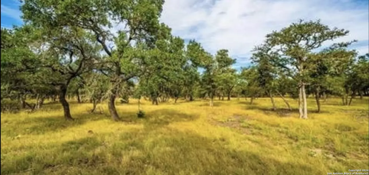 LOT 3 scott branch, Harper, TX 78631