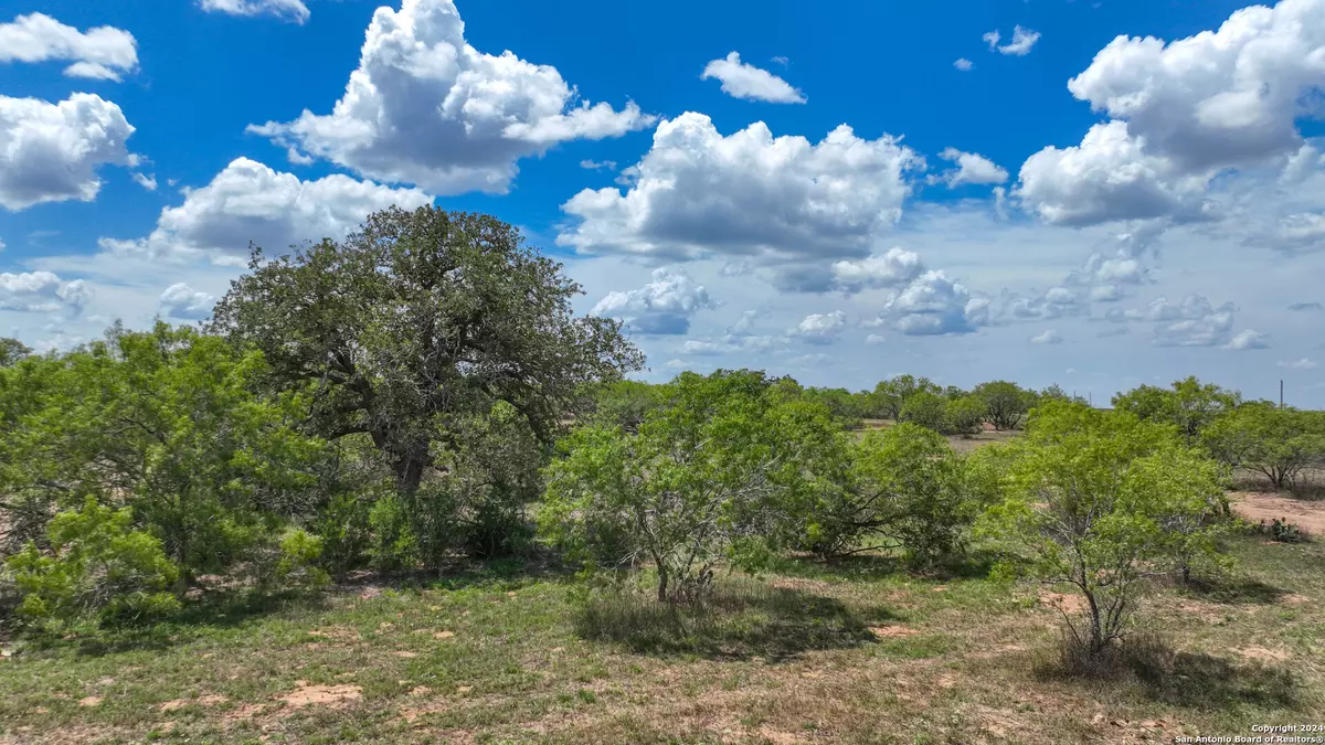 Stockdale, TX 78160,009 CR 477