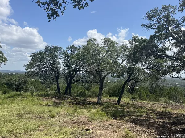 Boerne, TX 78006,189 Cordillera Rdge