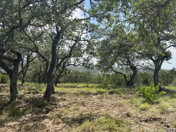 Boerne, TX 78006,12 Cordillera Rdge
