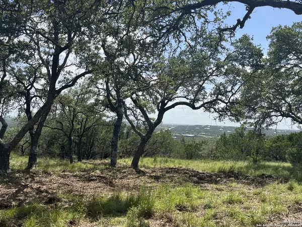 Boerne, TX 78006,12 Cordillera Rdge