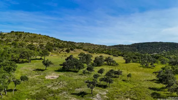 Wimberley, TX 78676,1215 Montell