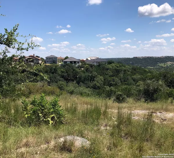 Boerne, TX 78006,LOT 48 Alex Circle