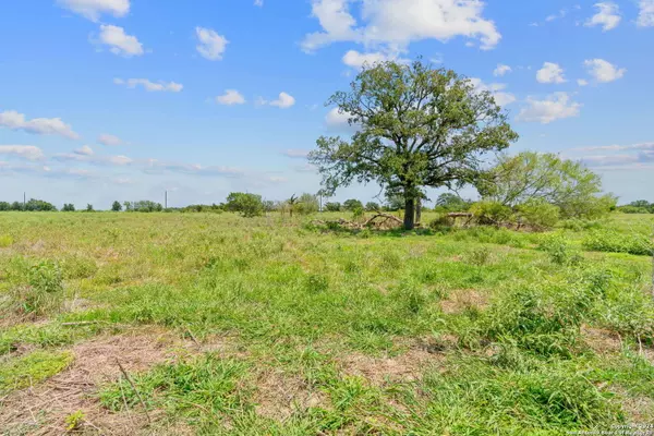 Flatonia, TX 78632,LOT 20 County Road 406