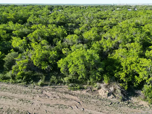 Three Rivers, TX 78071,730 CR 200