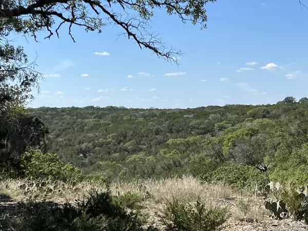 125 Deer Haven, Hunt, TX 78024