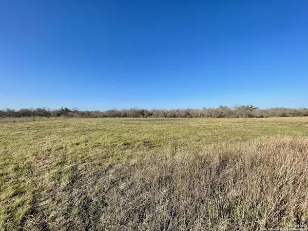 Beeville, TX 78142,TRACT 5 West King Lane