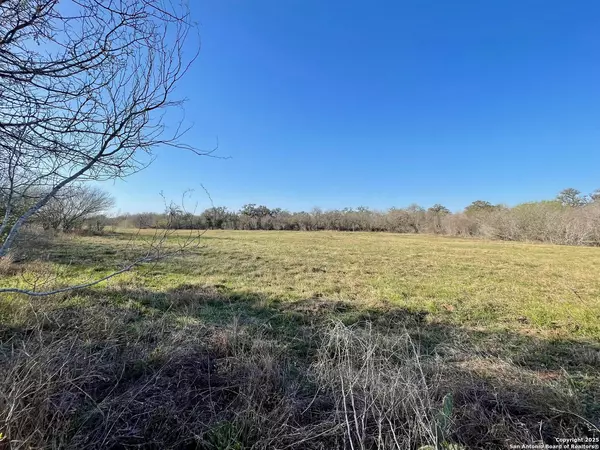 Beeville, TX 78142,TRACT 5 West King Lane