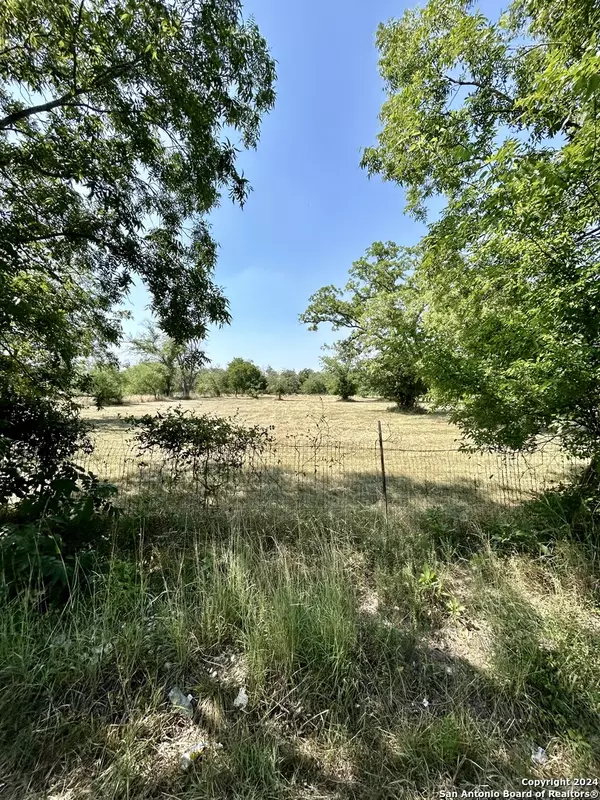 Natalia, TX 78059,1141 COUNTY ROAD 679