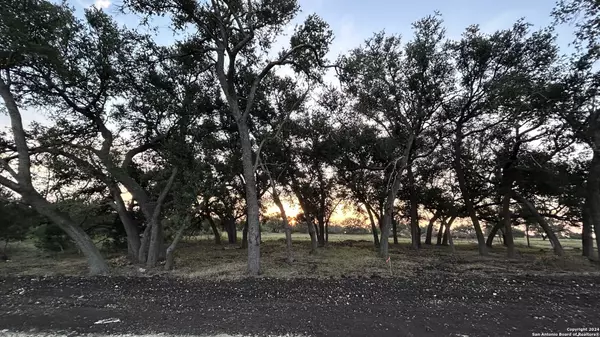 Lampasas, TX 76550,101 / LOT 1 Private Road 1295