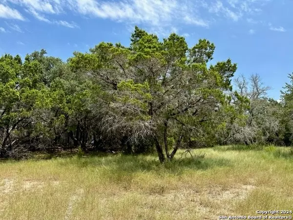 118 WATER OAK LN, Canyon Lake, TX 78133