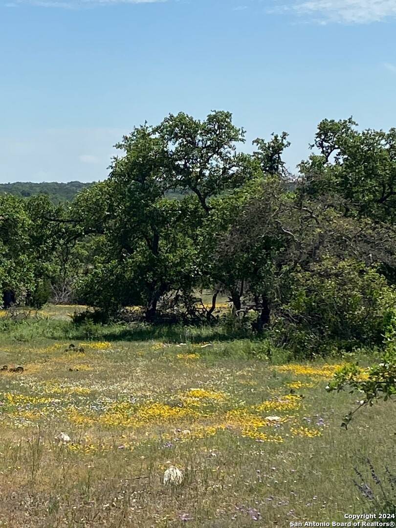 Junction, TX 76849,TBD TAURUS LN Taurus