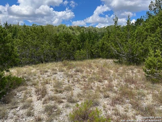 Canyon Lake, TX 78133,1396 CANYON TRACE