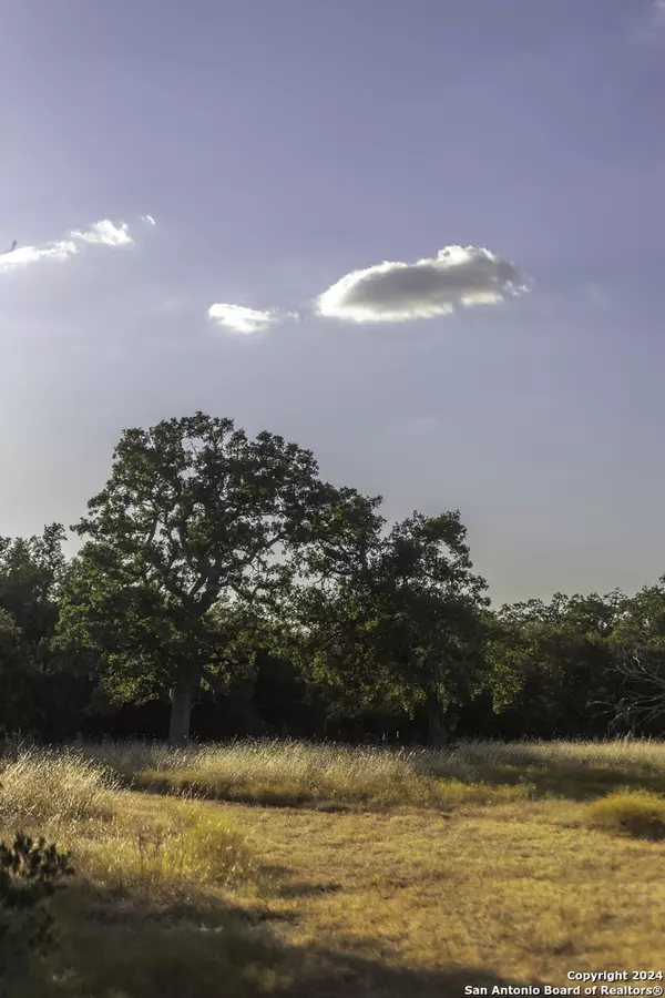 Fredericksburg, TX 78624,TBD Herbert-Schaefer